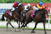 Manoel Nunes has Great Light in full flight on his way to victory on Sunday.<br>Photo by Singapore Turf Club